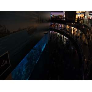 照片 阿联酋(United Arab Emirates) 迪拜(Dubai) 迪拜购物中心(The Dubai Mall) 2011-12 15