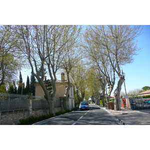 照片 法国(France) 穆里耶(Mouries) 2008-04 22