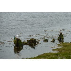 照片 英国(United Kingdom) 苏格兰(Scotland) 洛西茅斯(Lossiemouth) 2011-07 13
