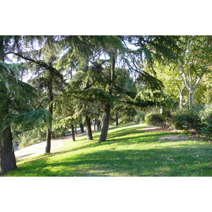 照片 西班牙(Spain) 马德里(Madrid) 西方公园(Parque del Oeste) 2007-09 35