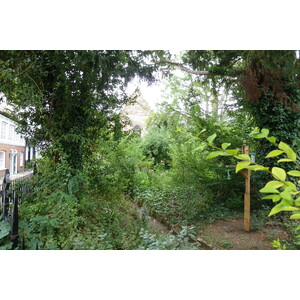 照片 英国(United Kingdom) 剑桥(Cambridge) 2011-07 208
