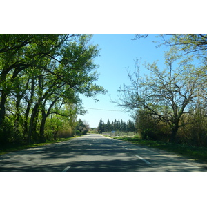 照片 法国(France) 普罗旺斯(Provence) 穆里耶至莱博公路(Mouries to Baux de Provence road) 2008-04 24