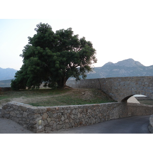 照片 法国(France) 科西嘉岛(Corsica) 卡尔维(Calvi) 2006-09 1