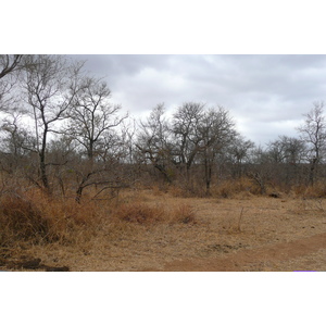 照片 南非(South Africa) 克鲁格国家公园(Kruger National Park) 鳄鱼河公路(Crocodile River road) 2008-09 29