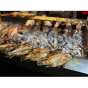 照片 泰国(Thailand) 芭提雅(Pattaya) 2023-01 42