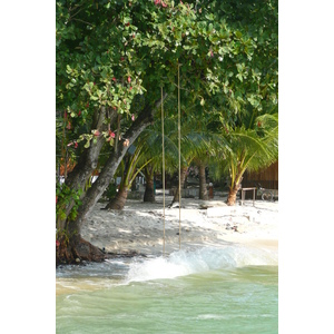 照片 泰国(Thailand) 沙美岛(Ko Samet) 乔湾(Ao Cho) 2009-01 26