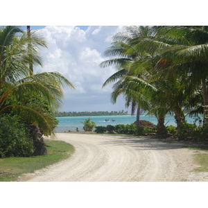 照片 波利尼西亚(Polynesia) 波拉波拉岛(Bora Bora) 2006-04 70