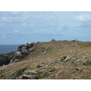 照片 法国(France) 伊厄岛(Ile d'yeu) 2009-07 100