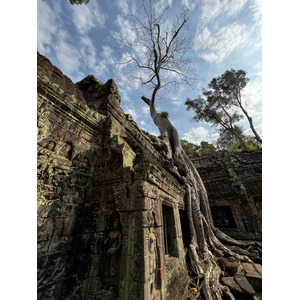 照片 柬埔寨(Cambodia) 暹粒(Siem Reap) 塔布茏寺(Ta Prohm) 2023-01 18