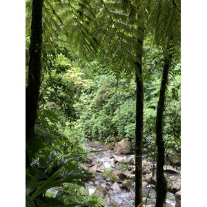 照片 瓜德罗普(Guadeloupe) 卡尔贝瀑布(Carbet Falls) 2021-02 44