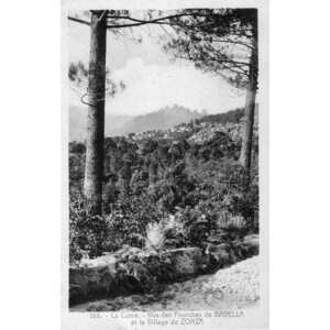 照片 法国(France) 科西嘉岛(Corsica) 老明信片(Old Postcards) 1900-01 255