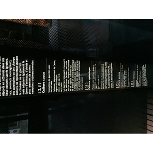 照片 法国(France) 巴黎(Paris) 布朗利河岸博物馆(Quai Branly Museum) 2015-09 23