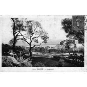 照片 法国(France) 科西嘉岛(Corsica) 老明信片(Old Postcards) 1900-01 18