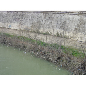 照片 意大利(Italy) 罗马(Rome) 2004-03 66