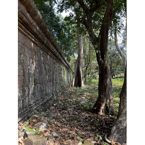 照片 柬埔寨(Cambodia) 暹粒(Siem Reap) 吴哥通王城(Angkor Thom) 2023-01 38