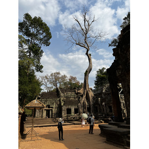 照片 柬埔寨(Cambodia) 暹粒(Siem Reap) 塔布茏寺(Ta Prohm) 2023-01 21