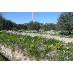 照片 法国(France) 普罗旺斯(Provence) 穆里耶至莱博公路(Mouries to Baux de Provence road) 2008-04 14