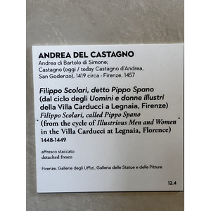 照片 意大利(Italy) 佛罗伦萨(Florence) 巴杰罗博物馆(Bargello Museum) 2022-05 40