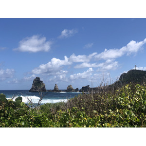 照片 瓜德罗普(Guadeloupe) 城堡角(Castle Point) 2021-02 62