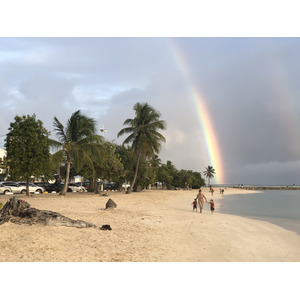 照片 瓜德罗普(Guadeloupe) 圣安妮(Sainte Anne) 2021-02 43