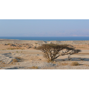 照片 以色列(Israel) 死海(Dead Sea) 2007-06 152