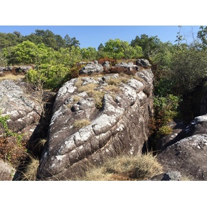 照片 泰国(Thailand) 普欣隆卡国家公园(Phu Hin Rong Kla National Park) 2014-12 298