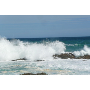 照片 南非(South Africa) 齐齐卡马国家公园(Tsitsikamma National Park) 2008-09 46