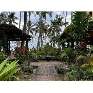 照片 泰国(Thailand) 兰塔岛(Ko Lanta) 2023-01 150