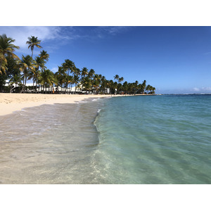 照片 瓜德罗普(Guadeloupe) 卡拉维尔海滩(La Caravelle Beach) 2021-02 147