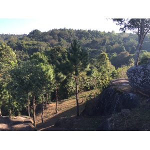 照片 泰国(Thailand) 普欣隆卡国家公园(Phu Hin Rong Kla National Park) 2014-12 268
