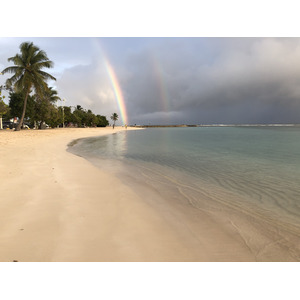 照片 瓜德罗普(Guadeloupe) 圣安妮(Sainte Anne) 2021-02 74