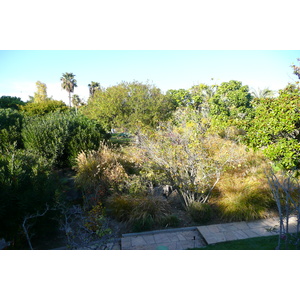 照片 法国(France) 尼斯(Nice) 凤凰公园(Phoenix Parc) 2007-10 12