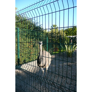 照片 法国(France) 尼斯(Nice) 凤凰公园(Phoenix Parc) 2007-10 7