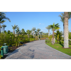 照片 阿联酋(United Arab Emirates) 迪拜(Dubai) 迪拜水世界(Dubai Aquaventure) 2009-01 44