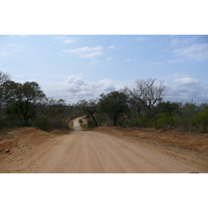 照片 南非(South Africa) 克鲁格国家公园(Kruger National Park) 鳄鱼河公路(Crocodile River road) 2008-09 56