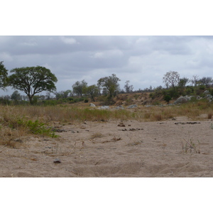 照片 南非(South Africa) 克鲁格国家公园(Kruger National Park) 鳄鱼河公路(Crocodile River road) 2008-09 63