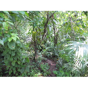 照片 巴拿马(Panama) 巴斯蒂门托斯岛(Bastimentos) 2015-03 86