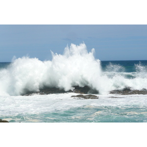 照片 南非(South Africa) 齐齐卡马国家公园(Tsitsikamma National Park) 2008-09 378