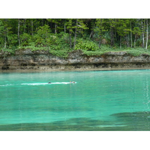 照片 新喀里多尼亚(New Caledonia) 松树岛(Ile des pins) 奥罗湾(Oro Bay) 2010-05 79