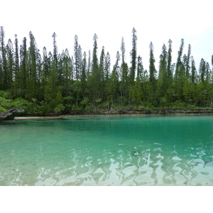 照片 新喀里多尼亚(New Caledonia) 松树岛(Ile des pins) 奥罗湾(Oro Bay) 2010-05 90