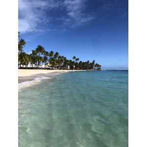 照片 瓜德罗普(Guadeloupe) 卡拉维尔海滩(La Caravelle Beach) 2021-02 144