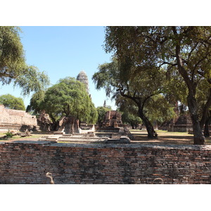 照片 泰国(Thailand) 大城(Ayutthaya) 2011-12 35