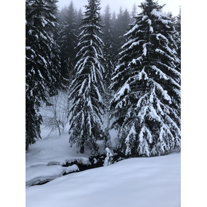 照片 法国(France) 拉克吕萨(La Clusaz) 2017-12 213