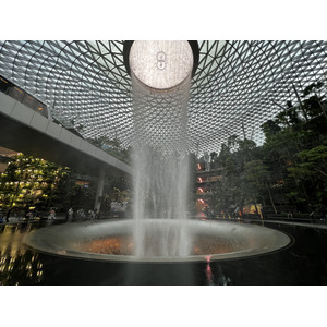 照片 新加坡(Singapore) 新加坡樟宜机场(Singapore Changi Airport) 2023-01 16