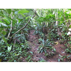 照片 巴拿马(Panama) 巴斯蒂门托斯岛(Bastimentos) 2015-03 12