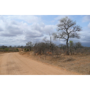 照片 南非(South Africa) 克鲁格国家公园(Kruger National Park) 鳄鱼河公路(Crocodile River road) 2008-09 14