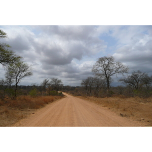 照片 南非(South Africa) 克鲁格国家公园(Kruger National Park) 鳄鱼河公路(Crocodile River road) 2008-09 7