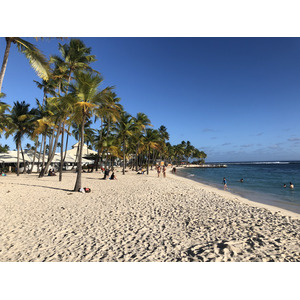 照片 瓜德罗普(Guadeloupe) 卡拉维尔海滩(La Caravelle Beach) 2021-02 113