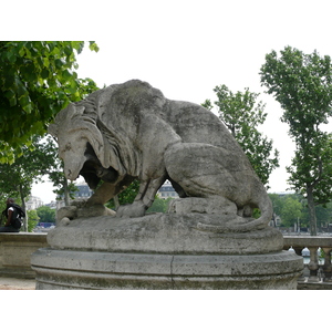 照片 法国(France) 巴黎(Paris) 杜乐丽花园(Garden of Tuileries) 2007-05 165