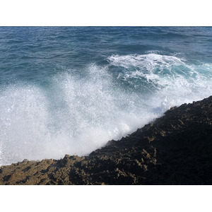 照片 瓜德罗普(Guadeloupe) 城堡角(Castle Point) 2021-02 40